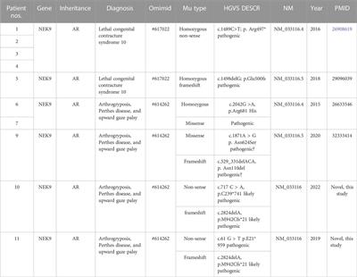 Novel variants of NEK9 associated with neonatal arthrogryposis: Two case reports and a literature review